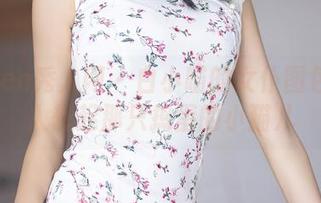 Xiuren秀人网 - 白小喵的女仆图包:让人想起那只捣蛋的小猫儿