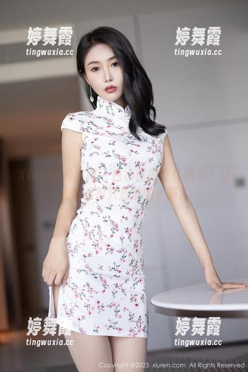 Xiuren秀人网 - 白小喵的女仆图包：让人想起那只捣蛋的小猫儿