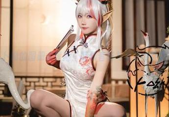 卜呦的图册大冒险:柴郡音符与夏日的轻雷
