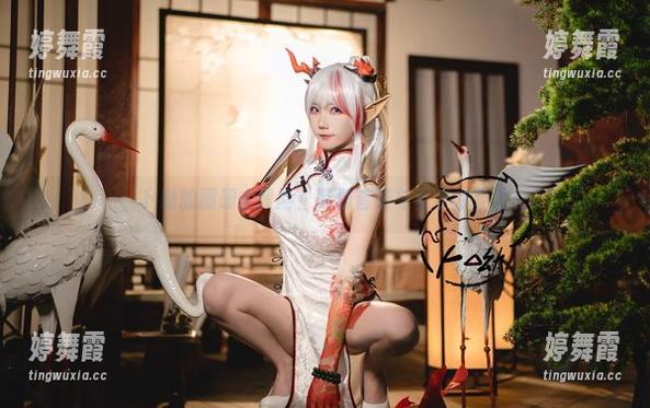 卜呦的图册大冒险：柴郡音符与夏日的轻雷