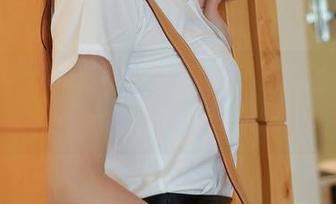 模范学院 - 梦梵女仆合集:在这里,连我都想请个假!